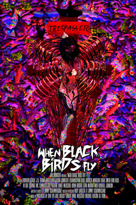 when black birds fly